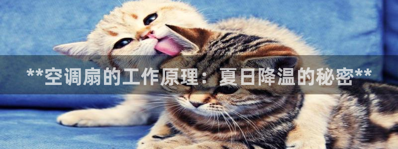 环球360合作包杀网一比一