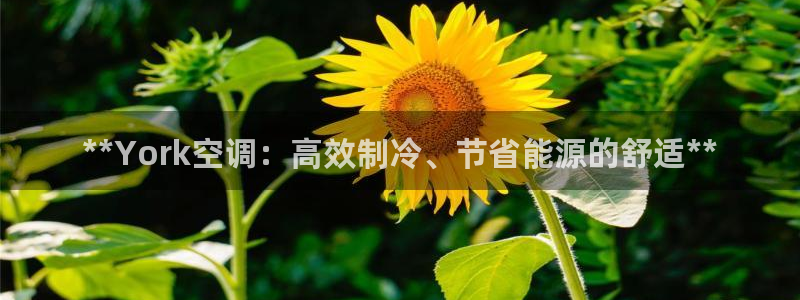 环球360管理系统入口官网