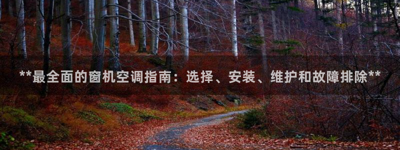 环球360买分一比一