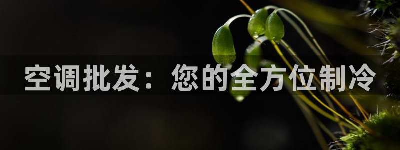 环球360登录入口在哪里