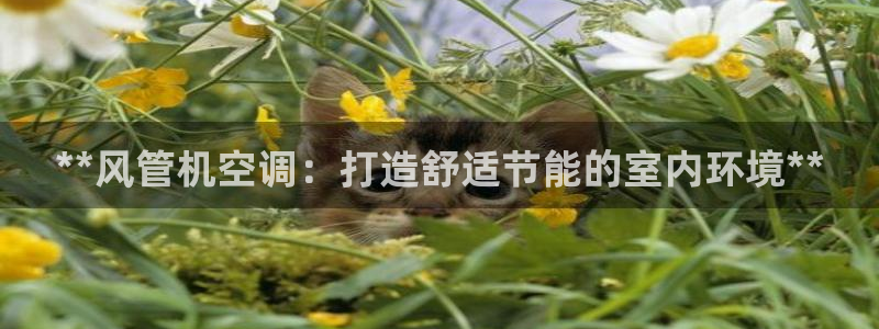 菲律宾环球360注册账号是什么
