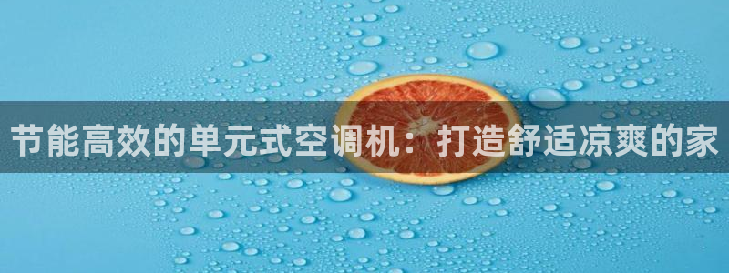 环球360会员登录注册