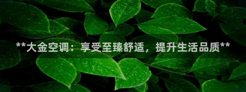 环球360官网手机版网址是多少