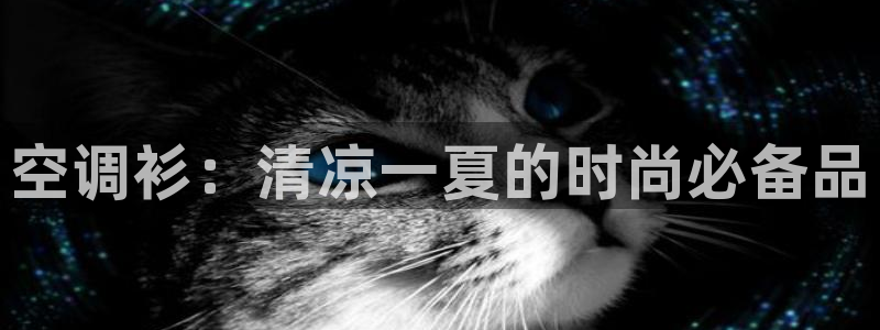 环球360官网会员注册账号