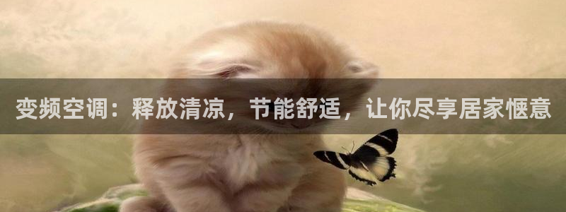 环球360官网手机版特色