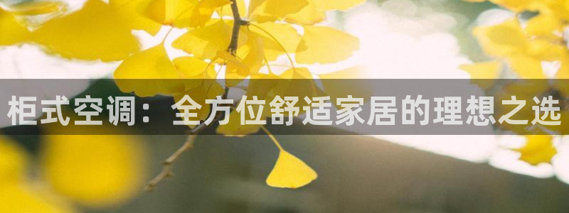 环球360全景