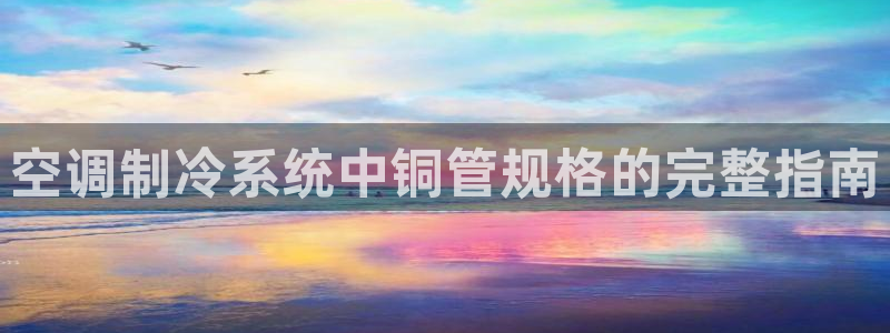 环球360买分包杀