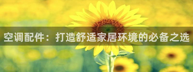菲律宾环球360平台有假吗