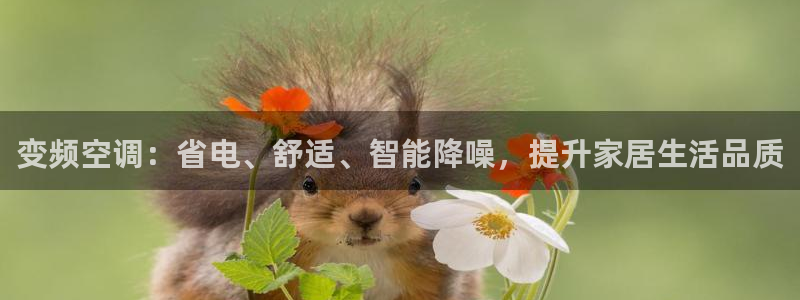 环球360充值优惠活动在哪