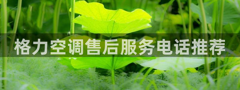 环球360官网手机版特色