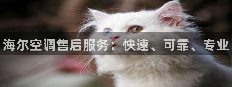 环球360平台注册