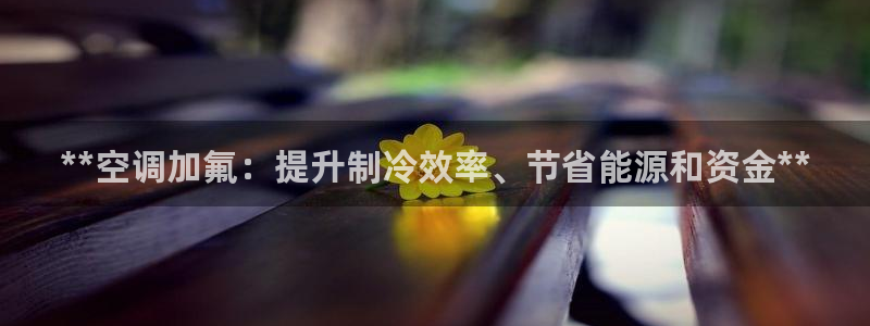 环球360会员登录官网