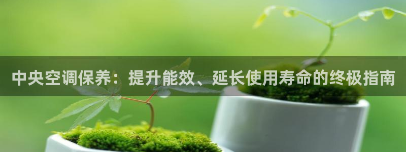 环球360官网手机版网址是多少