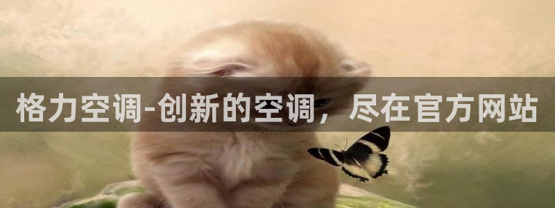 环球360能赢到钱吗