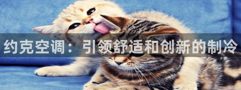 环球360苹果手机下载