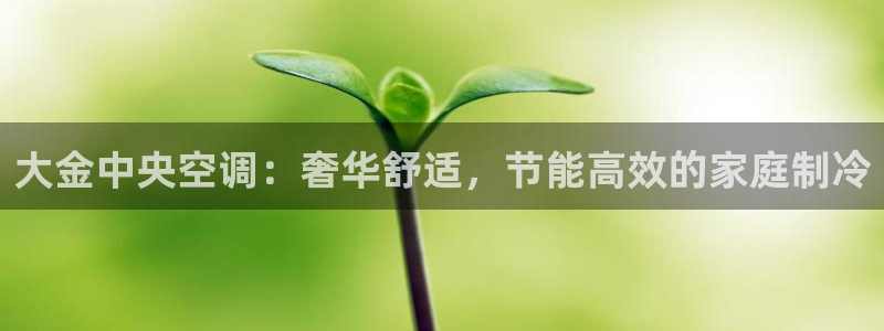 环球360的官网客服在哪里找