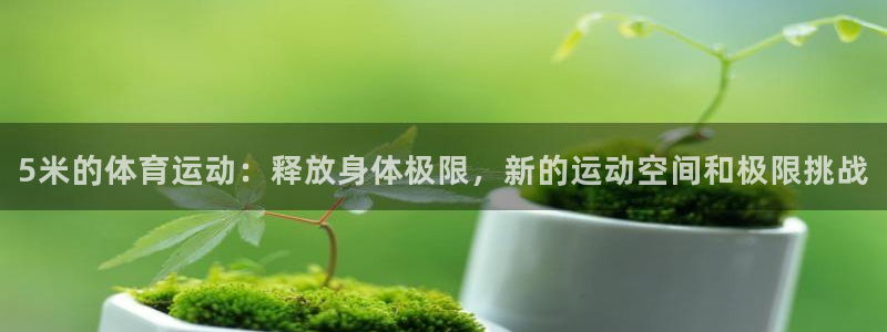熊猫体育平台
