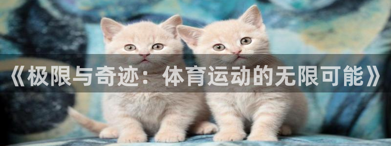 动感熊猫体育公园