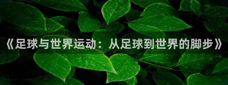 熊猫体育比赛直播：《足球与世界运动：从足球到世界的脚步》