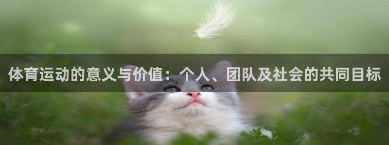 熊猫体育比赛直播