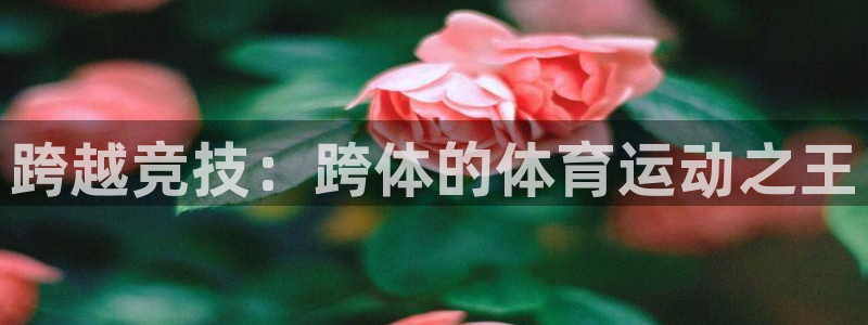熊猫体育直播：跨越竞技：跨体的体育运动之王