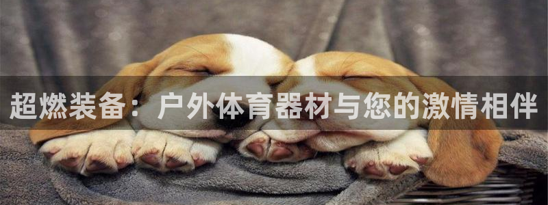 熊猫体育公园价格：超燃装备：户外体育器材与您的激情相伴