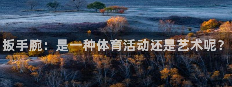 熊猫体育在线观看：扳手腕：是一种体育活动还是艺术呢？