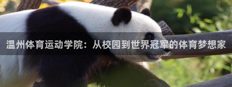 熊猫体育网站：温州体育运动学院：从校园到世界冠军的体育梦想家