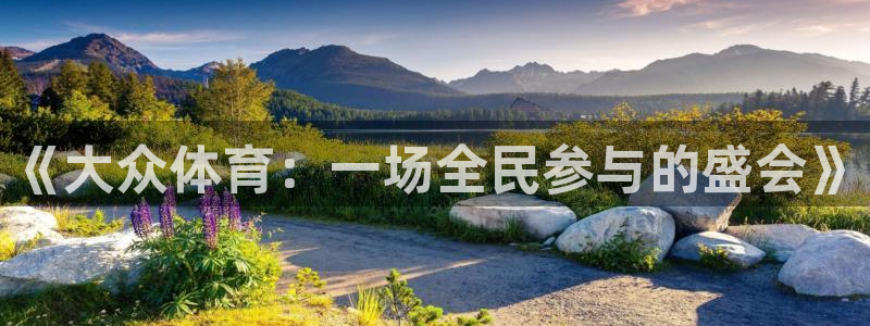 熊猫体育app官方入口：《大众体育：一场全民参与的盛会》