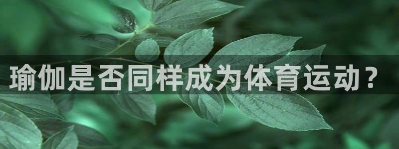 下载熊猫体育