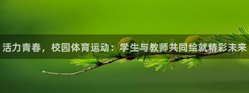 熊猫体育网址