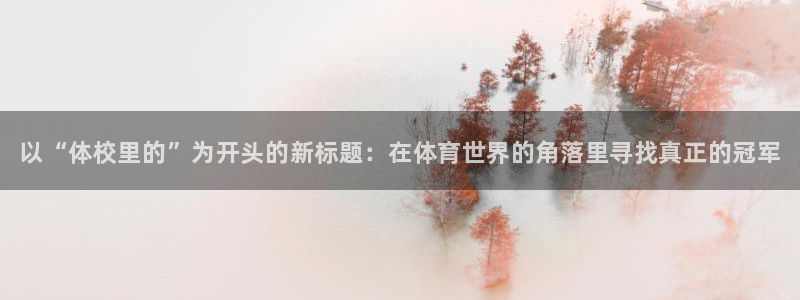 熊猫体育网站