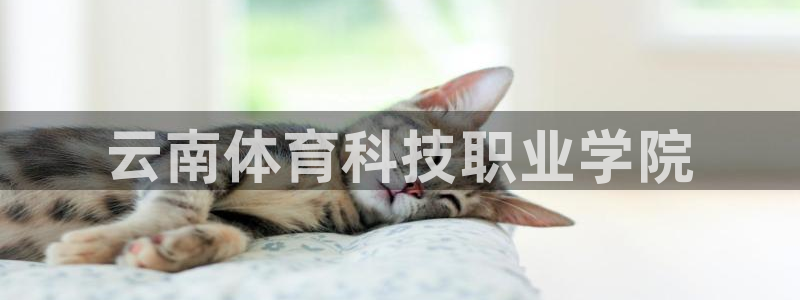 熊猫体育app官方下载最新版