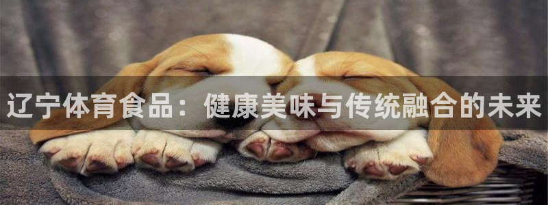 熊猫体育怎么样
