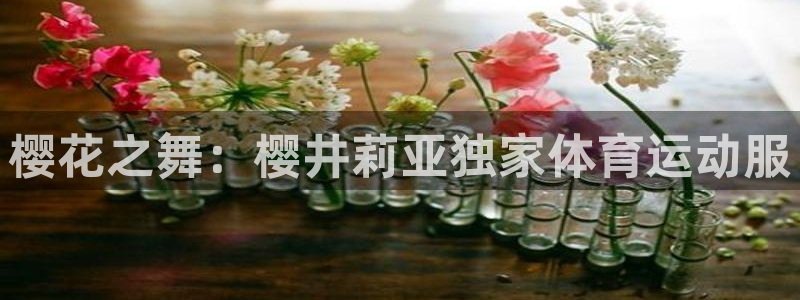 熊猫体育官网首页入口