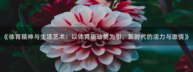 熊猫体育公园价格