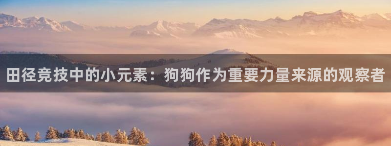 下载熊猫体育