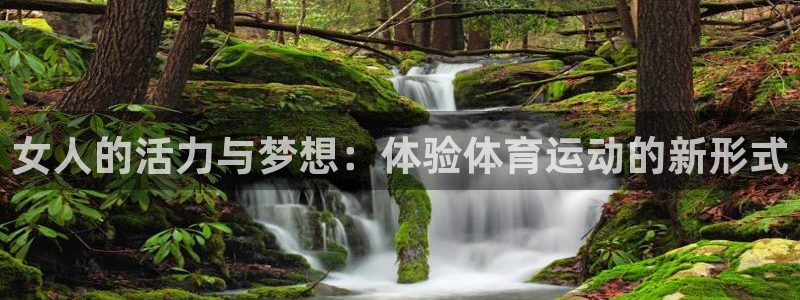 动感熊猫体育公园