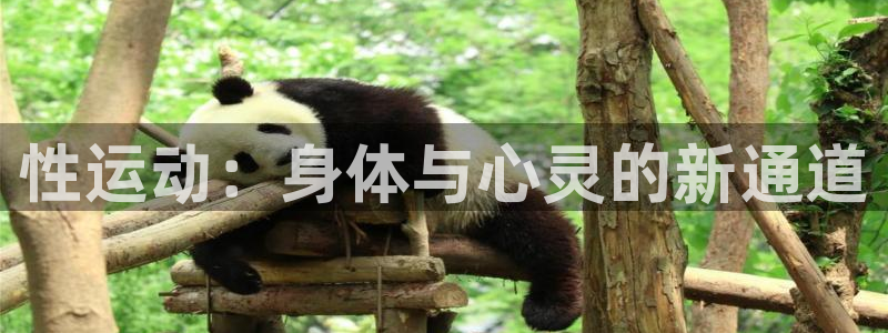 熊猫体育免费下载