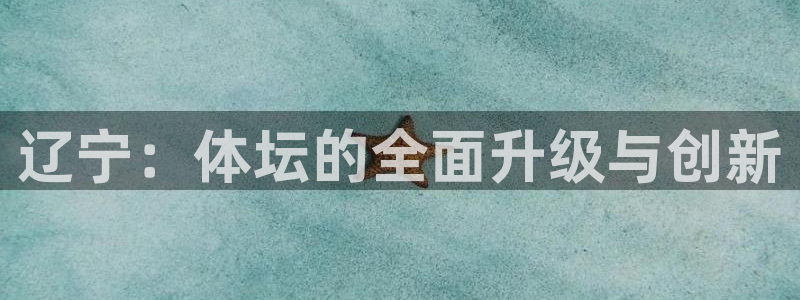 成都金熊猫体育