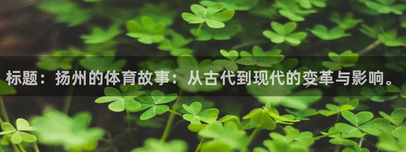成都金熊猫体育