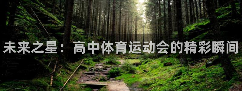 成都金熊猫体育