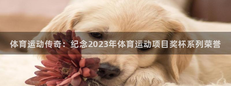 熊猫体育app官网入口：体育运动传奇：纪念2023年体育运动项目奖杯系列荣誉
