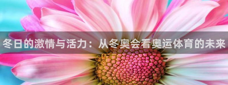 熊猫体育平台：冬日的激情与活力：从冬奥会看奥运体育的未来