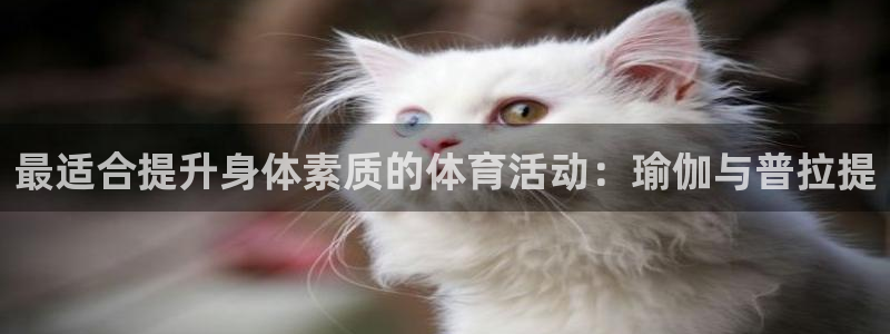 下载熊猫体育：最适合提升身体素质的体育活动：瑜伽与普拉提