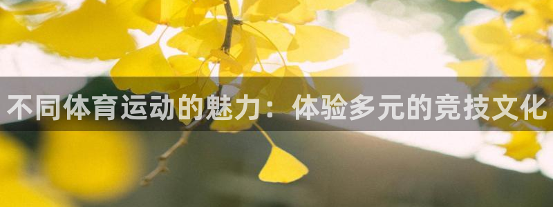 熊猫体育平台：不同体育运动的魅力：体验多元的竞技文化