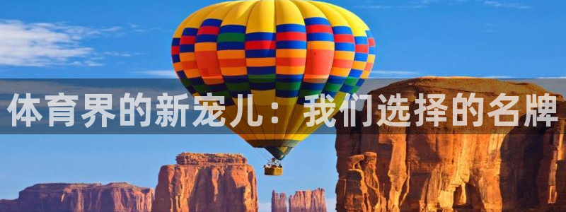 熊猫体育app官网入口：体育界的新宠儿：我们选择的名牌