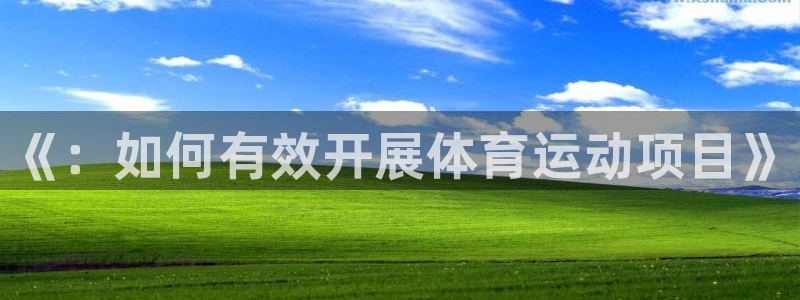 熊猫体育app官方入口：《：如何有效开展体育运动项目》