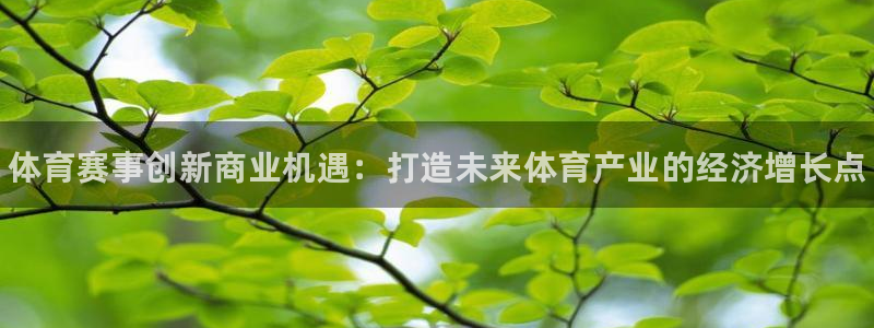 熊猫体育公园价格：体育赛事创新商业机遇：打造未来体育产业的经济增长点