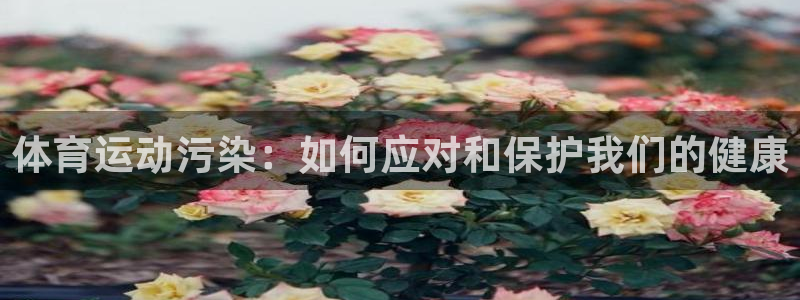 成都熊猫体育公园：体育运动污染：如何应对和保护我们的健康
